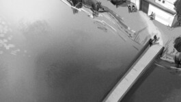 Chris Hees Illustration