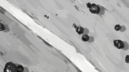 Chris Hees Illustration