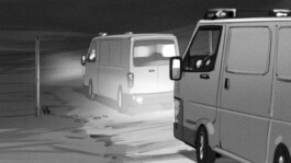 Chris Hees Illustration