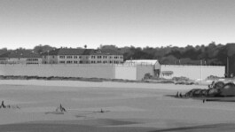 Chris Hees Illustration