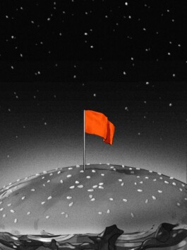 Chris Hees Illustration