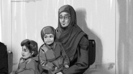 Chris Hees Illustration