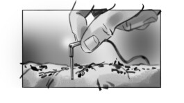 Chris Hees Illustration