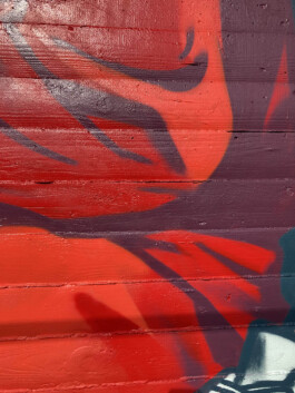 Chris Hees Illustration